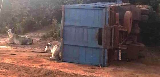 Caminhoneiro morre após veículo de carga capotar em estrada rural