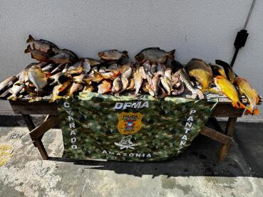 Homem é preso por vender e fazer rifa de pescado ilegal em MT