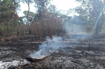Estado aplica R$ 13 mi em multas por incêndios ilegais