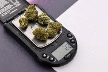 Justiça revisa pena de flagrados com menos de 40 g de maconha
