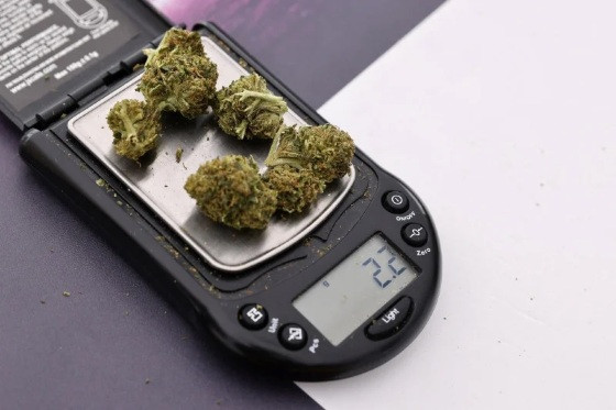 maconha222.jpg