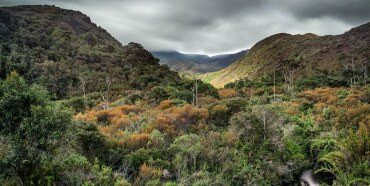 Brasil lança nova estratégia para proteger biodiversidade