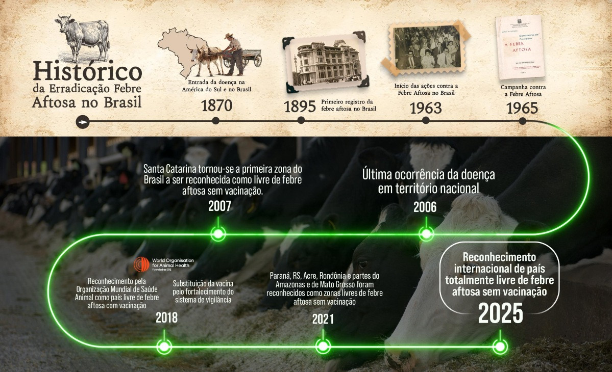 VACINAÇÃO AFTOSA HISTÓRICO