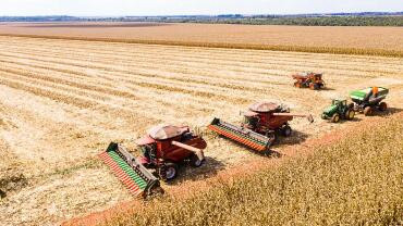 MT inicia colheita de milho com produção estimada em 50,3 milhões de toneladas