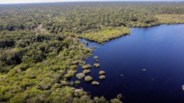 STJ restabelece condenação por desmatamento ilegal na Amazônia