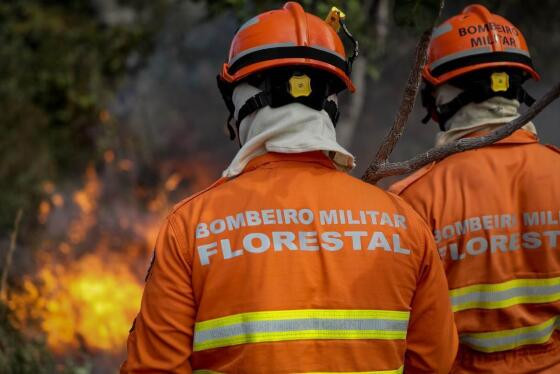 COMBATE AO FOGO NO CERRADO E AMAZÔNIA 