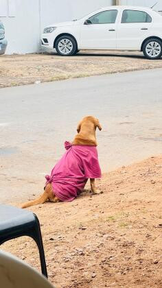 caramelo frio.jpeg