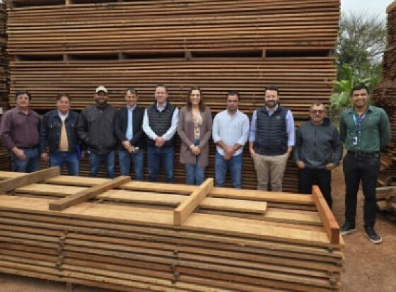 FIEMT VISITA INDÚSTRIA FLORESTAL 