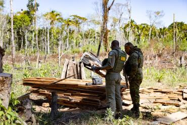 Desmatamento e crimes ambientais geram  R$ 1, 3 bilhão em multas em MT