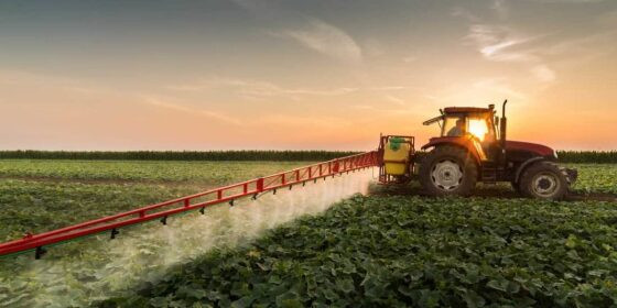 AGRICULTURA PRODUÇÃO AGRÍCOLA 