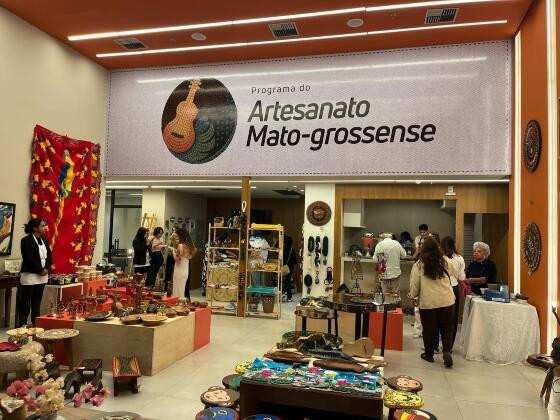 LOJA DE ARTESANATO DE MT