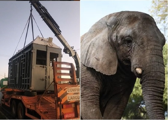 kenya comboio.jpg