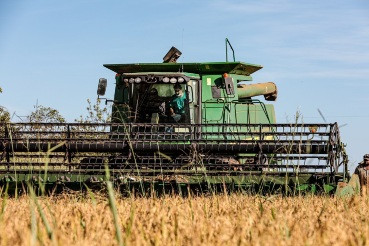 Mato Grosso lidera produção nacional de arroz de sequeiro