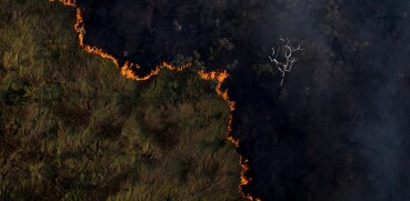 Desmatamento sobe na Amazônia de agosto de 2024 a junho de 2025; Cerrado tem queda de 22,5%