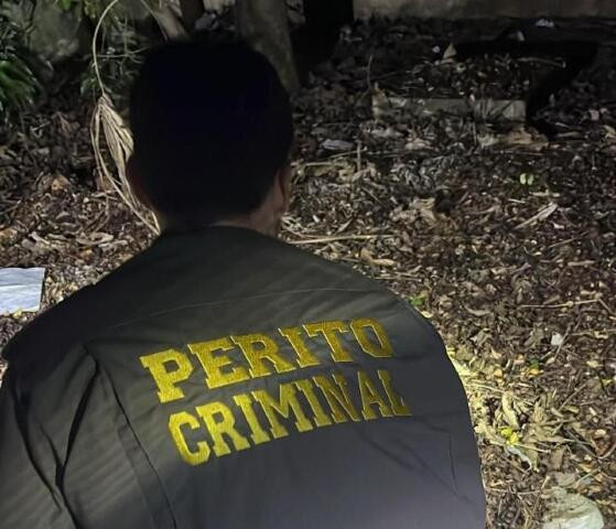 PERITO CRIMINAL 