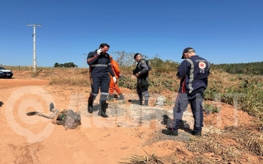 Homem é encontrado com sinais de estrangulamento em rodovia 