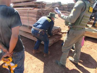 Sema 'fecha' três madeireiras e aplica multa de R$ 70 mil
