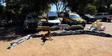 Cães farejadores ajudaram a apreender mais de uma tonelada de entorpecentes em MT