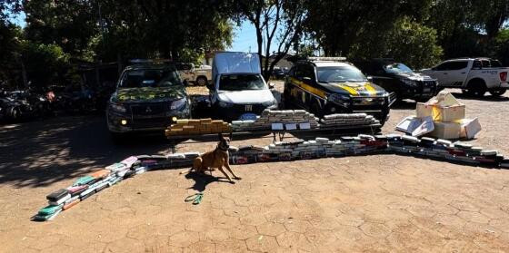 Cães farejadores ajudaram a apreender mais de uma tonelada de entorpecentes em MT